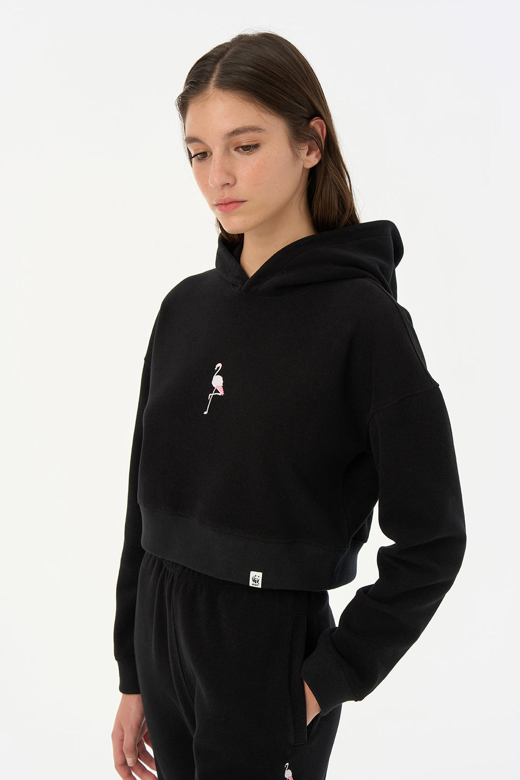 Flamingo SuperSoft Crop Hoodie - Siyah