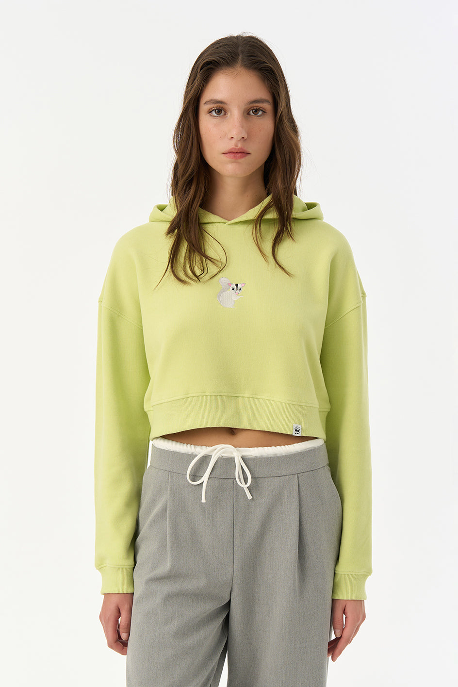 Sugar Glider SuperSoft Crop Hoodie - Fıstık Yeşili