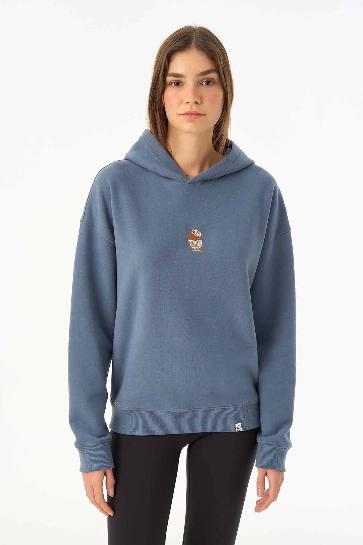 Goblin Baykuş SuperSoft Hoodie - Flint Mavi