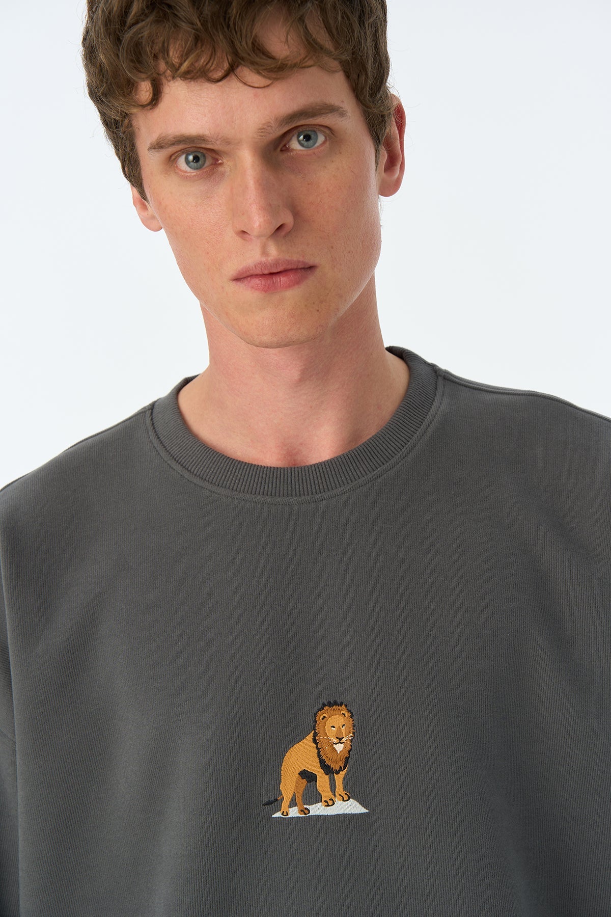 Aslan Oversize SuperSoft Sweatshirt  - Antrasit