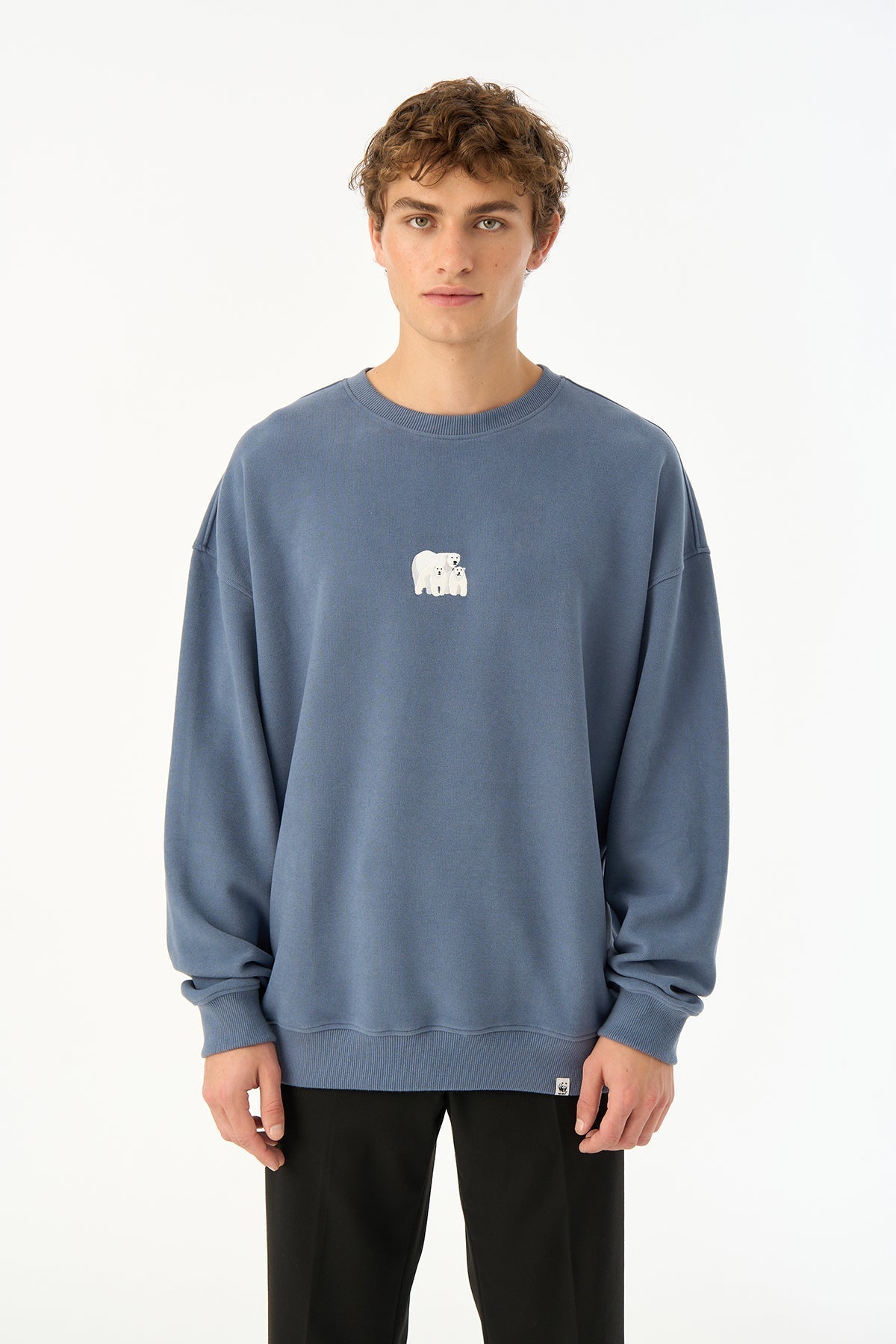 Kutup Ayısı SuperSoft Sweatshirt - Flint Mavi