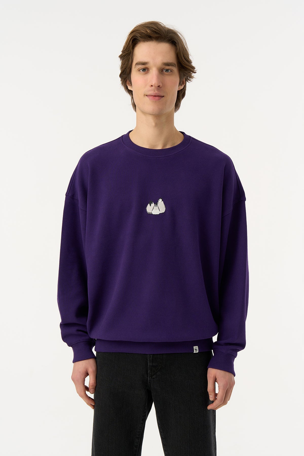 Yavru İmparator Penguen Oversize SuperSoft Sweatshirt - Mor