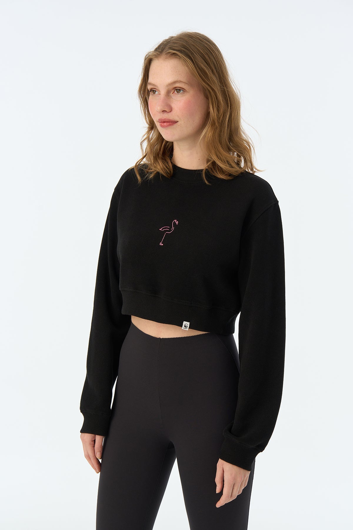 Flamingo SuperSoft Crop Sweatshirt - Siyah